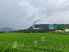 -艾米稻香小镇