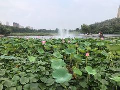 -前关湿地公园