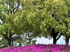 -天鹅湖体育公园