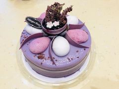 -哈根达斯(绍兴银泰店)