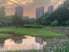 -重庆彩云湖湿地公园