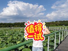 -哈尔滨大剧院
