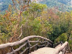 -梧桐山风景名胜区