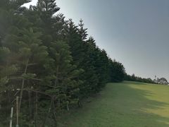 -迪茵湖田家舍生态农场