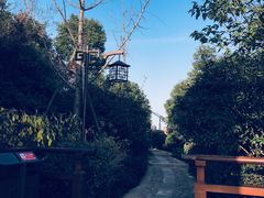 -杭州半山国家森林公园