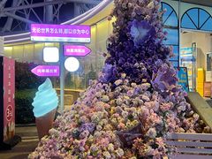 -琴岛之星摩天轮
