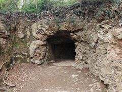 -上海佘山国家森林公园天马山园