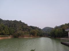 -中山市树木园
