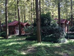 iphone_upload_pic-上海怡沁园度假酒店