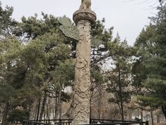 -北陵公园