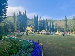 -深圳仙湖植物园