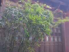 -长春观