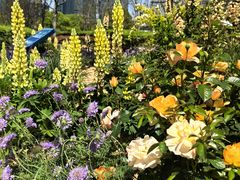 -东方体育中心(地铁站)