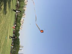 泰丰公园-泰丰公园