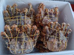 -伊戈尔俄罗斯商品大市场