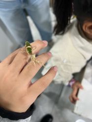 -神奇动物撸宠馆·羊驼·小浣熊·异宠(豫园店)