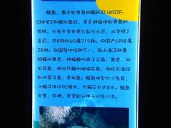 景点-临沂极地海洋王国