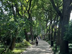 -上海醉白池公园