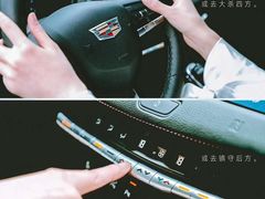 -河南威佳金凯汽车销售服务有限公司