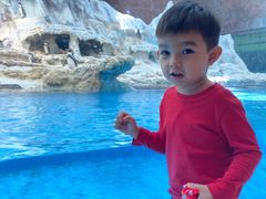 -帝企鹅自助餐厅•儿童岛•真企鹅(长隆企鹅酒店)