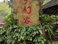 -呀诺达热带雨林