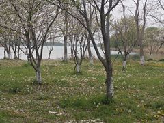 -南湖湿地公园