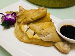 -碧丽宫大酒店(召稼楼店)