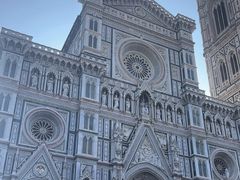 -圣母百花大教堂穹顶