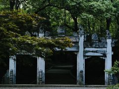 -灵谷景区