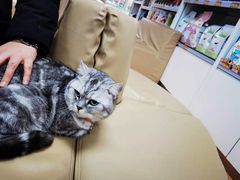 -宠颐生中康贝怡动物医院