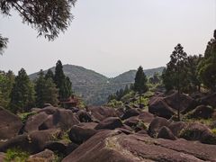 -玉苍山国家森林公园