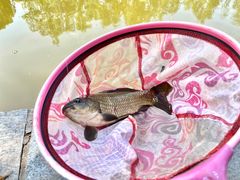 -酷鱼垂钓CLUB(朝阳区博大路店 )