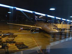 -谢列梅捷沃国际机场