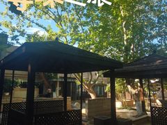 -春晖园度假酒店温泉