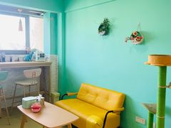 -猫在这儿猫咪咖啡馆·撸猫馆