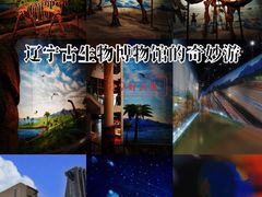 -辽宁古生物博物馆
