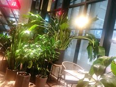 -大树餐厅(红旗街万达店)