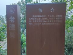 -滴水岩森林公园