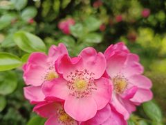 -白鹭湾湿地公园