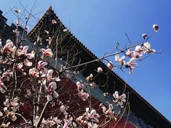 -东华门大街小区