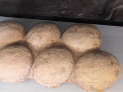 -湖南省地质博物馆