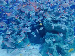 -成都浩海立方海洋公园