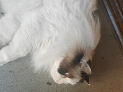 -白兔子密室(长寿路店)