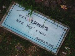 -人民公园(罗湖区)