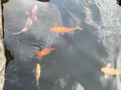 -广州花园酒店