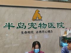 -半岛宠物医院24小时(科华中路店)