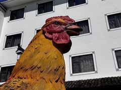 -头上红煨盐鸡·非遗院子餐厅