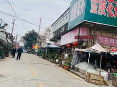 -金陵花卉交易市场