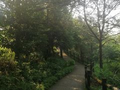 -广东大峡谷