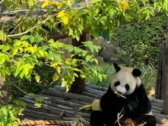 -大连森林动物园